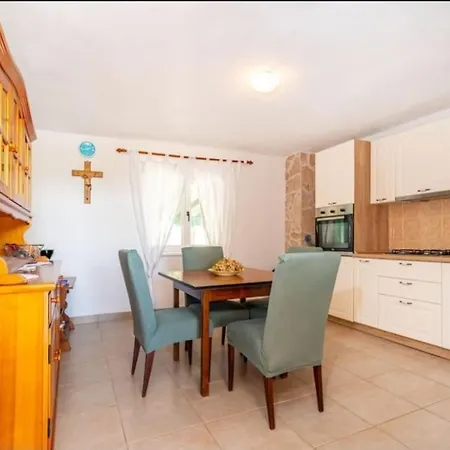 Apartment Irina Policnik