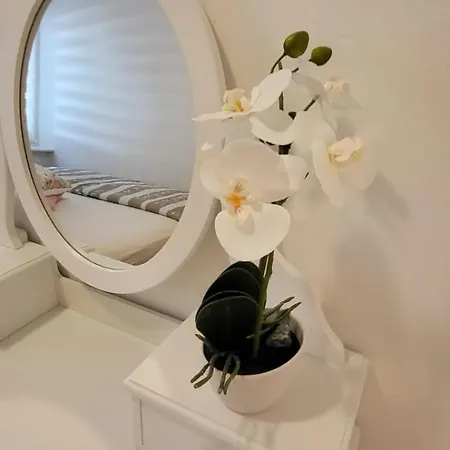 Appartement Irina Policnik