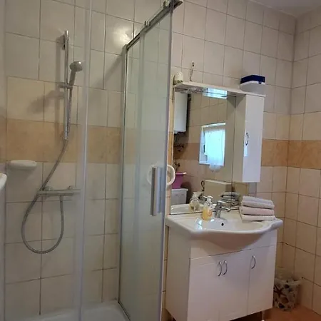 Apartment Irina Policnik